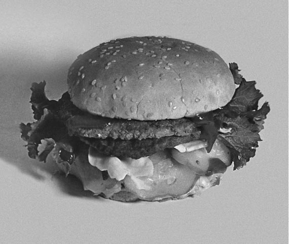 SO_burger_full